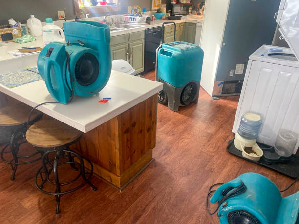 Best Water damage restoration near me  in Mobridge, SD
