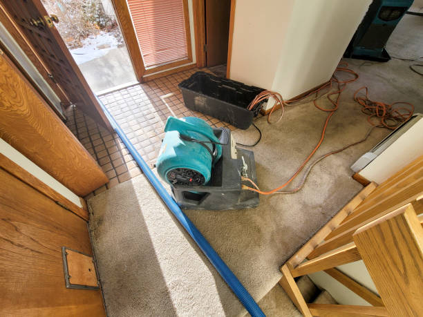 Best Water damage contractors near me  in Mobridge, SD