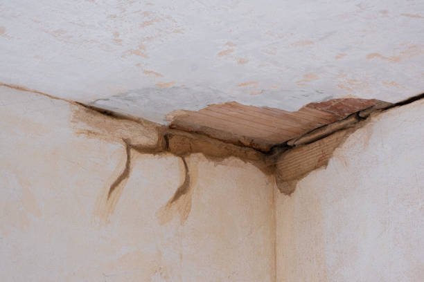 Best Commercial water damage restoration  in Mobridge, SD