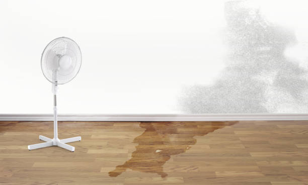 Mobridge, SD Water damage restoration Company