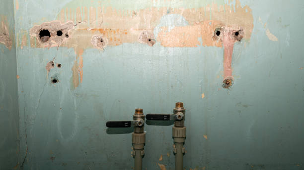 Best Water damage restoration near me  in Mobridge, SD