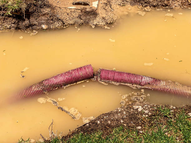 Best Residential water damage restoration  in Mobridge, SD