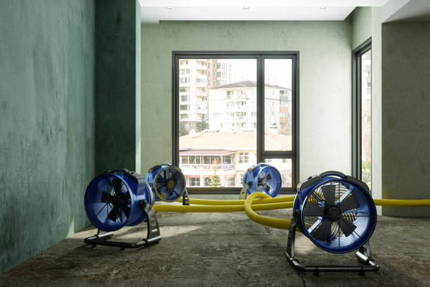 Best 24/7 water damage repair  in Mobridge, SD